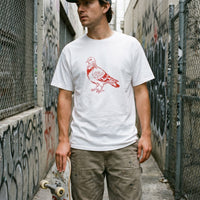 Pigeon streetwear tee, worn